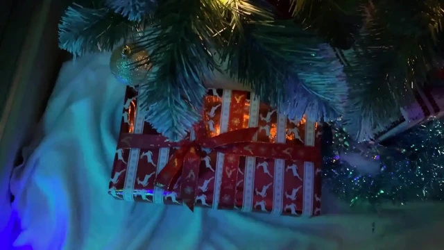 üvey kız kardeşimle Noel