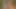Security guard catches slut thief in cornfield and gives her a blowjob-ticket on the spot