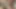 Asian BBW Dildo Slut Playing with my dildo