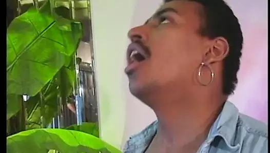 yaramaz siyah fahişe alır hazır için bir çarpıcı KEDİ lanet