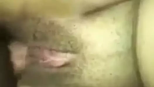 Sikme fas güzel kedi