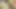 Topuklu amcıklı seksi Brooke Belle sert sikiliyor