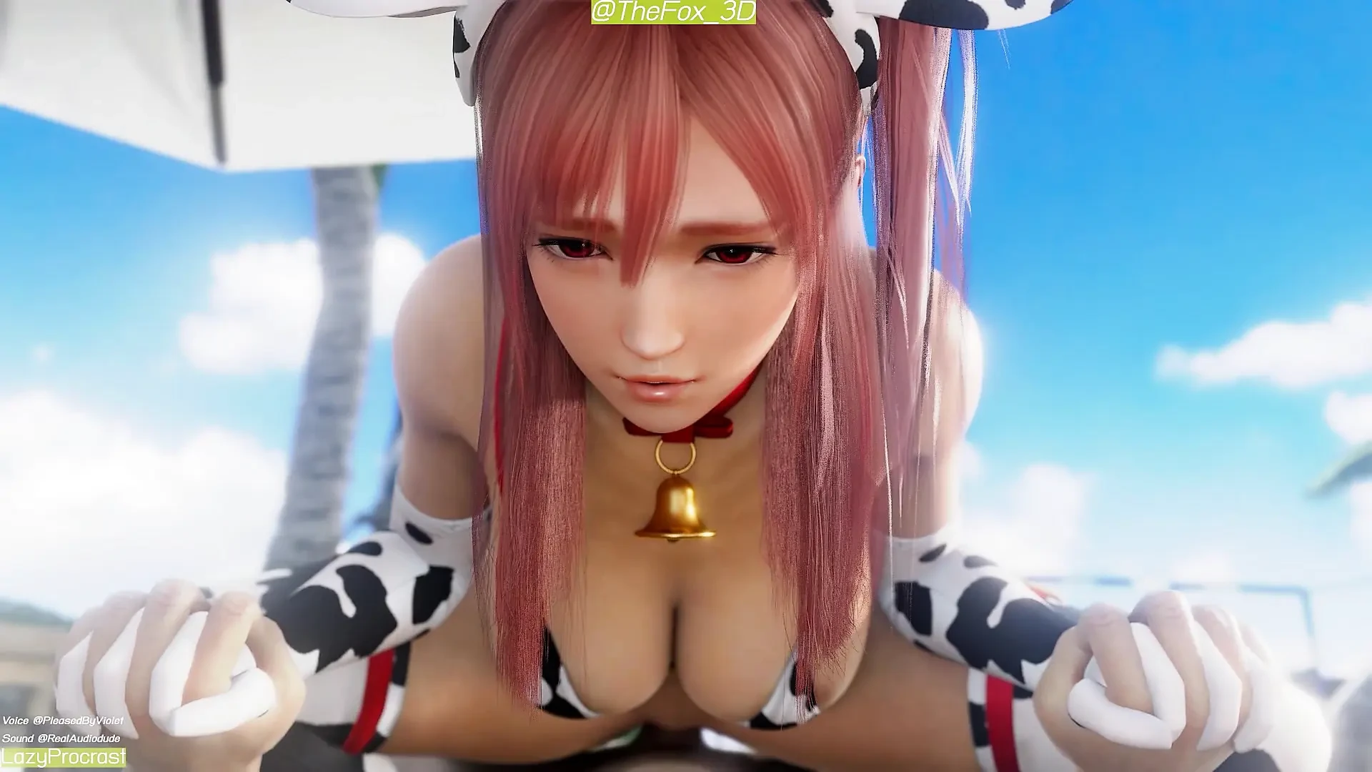 Dead or Alive Girl DOA Riding – Re Mix Normal WM Sound By LazyProcrast Animation 3D Hentai Compilation