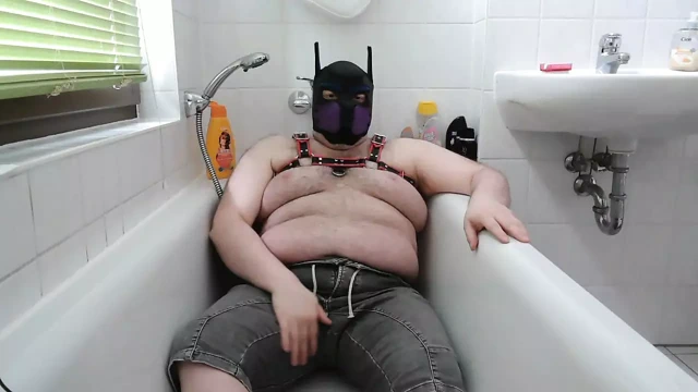 Azgın köpek küvette