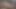 Yine üvey kız kardeş evde yalnızken üvey erkek kardeşiyle oynuyor