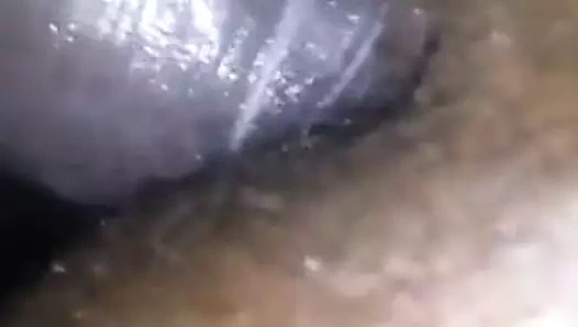 Bir lil anal ve kedi sikme