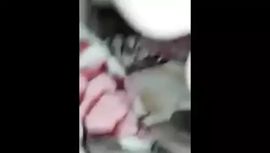 iki azgın lezbiyenler yalama ve çabalayan her diğer çok sıcak