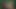 Esmer kadın ırklararası erkek ikiliyle sikişmek için takma yarak kullanıyor