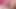 Orta yaşlı seksi kadın gırtlağına kadar yarak emiyor