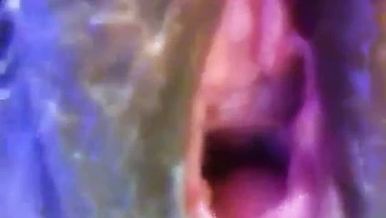 benim kahrolası hanımları ıslak KEDİ