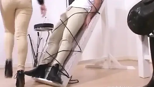 Bayan Harringtons Revenge