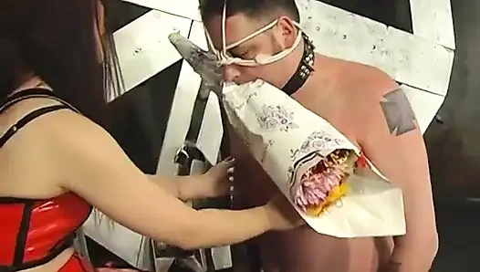 Kalçalı bdsm sahibe adamın yakalı yüzünü halatlıyor ve bağlı yarağını çekiyor
