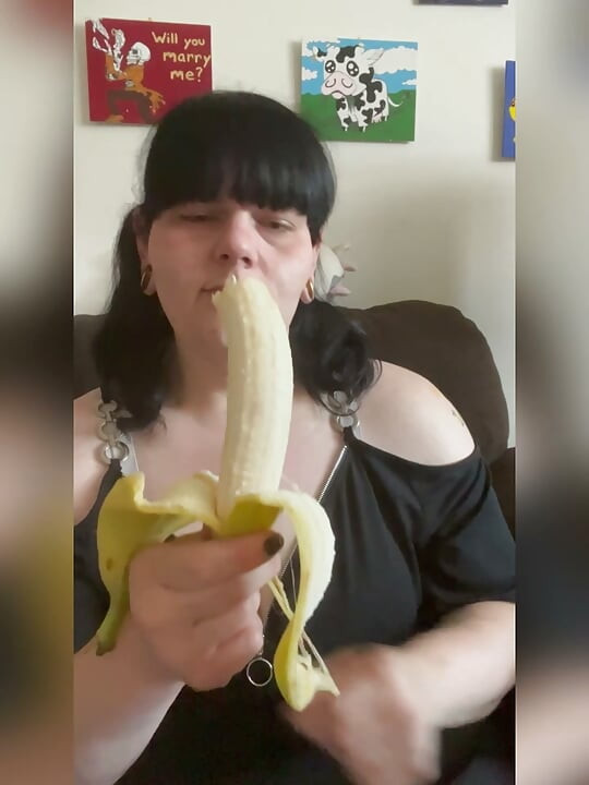 O şişman kediyi parçala