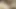 Ateşli sahibe kölesini dilliyor, sahibe kölesinin götüyle oynuyor, bdsm timmjob, göt oyunu köle sahibesi, dildo oyunu,