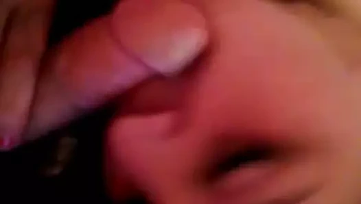 Yavru kedi patrona hizmet ediyor