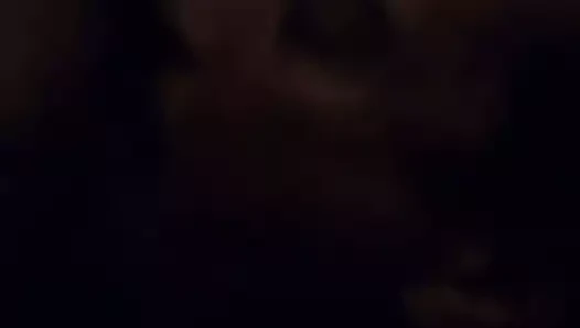 yalama the kedi