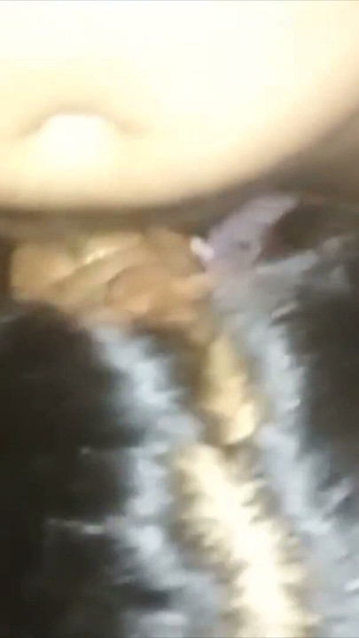 Faslı Derin Boğaz - Sıcak Seksi Dounia Deli Gibi Islanıyor | Bölüm 1