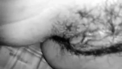 Bir arkadaş tarafından gönderilen hediye (ıslak!)