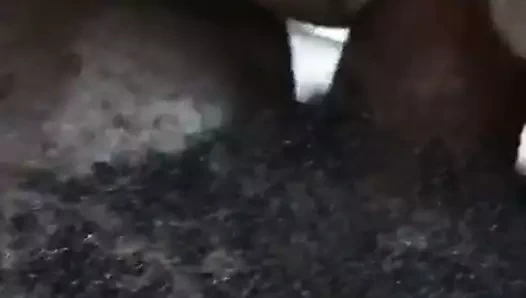 Büyük yarak binicisi