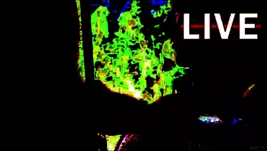 Pencerenin yanındaki yaşlı adam