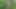 wald 10