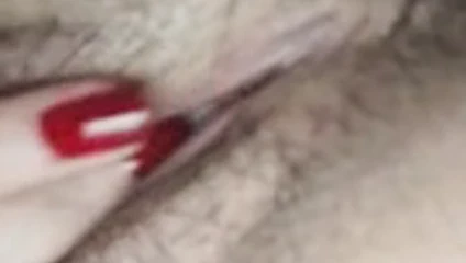 güzellik kıllı KEDİ