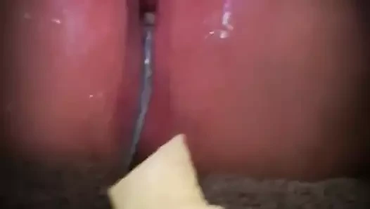 Tatlı kedi pissing üzerinde melon