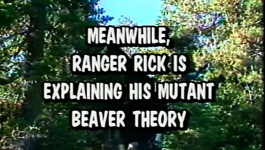 park bekçisi klasiği