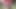 Seksi fileli kızlar ateşli üçlü sekste yarağı paylaşıyor