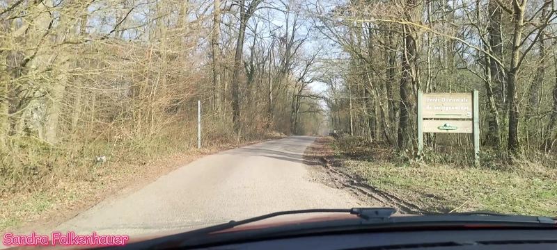 Arabada ateşli (tekrar)