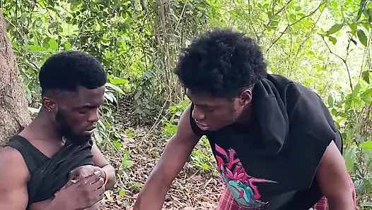 Siyah haydut çalıda rahatlıyor