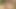 Doğada anne wildx ile mastürbasyon seansı, 4k