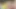 Yamanaka eğitmeni 3d hentai - frenulum yalama, özensiz sakso, sansürsüz animasyonda gırtlağına kadar boşalma