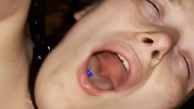 Fap derlemesi