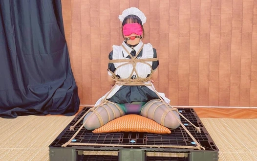 Hizmetçi sanat eseri