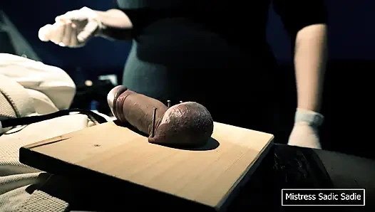 İlk Kez Topları ve İğneyi Meşe Palamudunuzdan Çiviliyorsun.