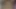 Yeni Nepalli seks videosu kocası dışarı çıktığında erkek arkadaşı tarafından sikişiyor.