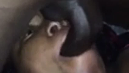 garip açı oral seks