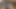 Sekreter amcığı çalıştığı şirketin patronuna veriyor!