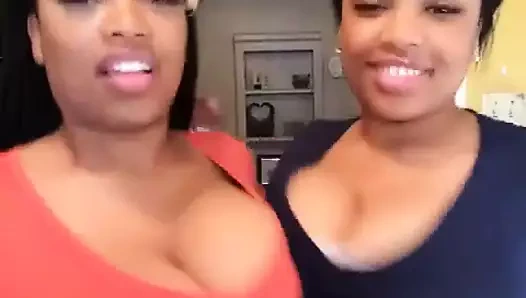 Büyük memeli ikizler