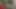 Günaydın! Yeni yıl ve Noel yaklaşıyor, ve düşündüm de eğer sana bazı hediyelerde bulunursam