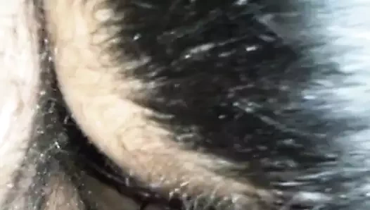 Sikimi emmek - bruneta imi suge pula