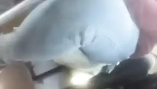 Otobüste bir kürt kızın güzel seksi vücudu