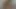 Üvey kız kardeş yarağıma sert biniyor ve inanılmaz emiyor - İspanyolca porno