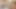 Evde porno yıldızları cilt 2