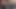 Terli tanrıça – dans tease