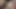 Teasing and Pleasing this BWC: Sucking, Stroking, and Delicious Cum Splashes! - 2 of 2