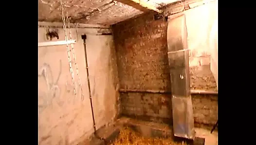 Sadist kadın egemenliği