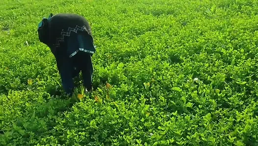 Khet kheton mein gand Marne Laga upar se Koi aaega FIR chhod Diya