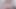 İri göğüslü Latin genç kız aynanın önünde dildo emiyor. (Anahi Ruiz web kamerası gösterisi 2)